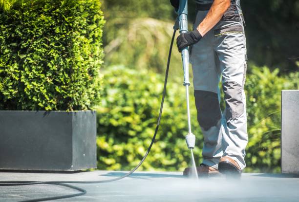 Best Patio and Deck Pressure Washing  in Franklin, NJ