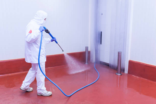 Best Roof Washing  in Franklin, NJ